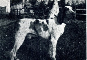 Giulio della Portalupa