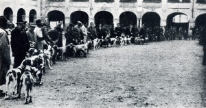 Raduno di bracchi a Lodi nel secondo dopoguerra