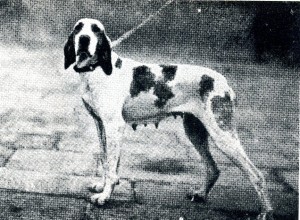 Adda dell'Adda, del cavalier Luigi Ciceri, zio di Paolo