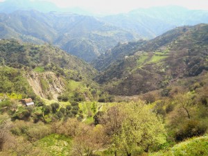 gole selvagge