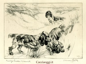 LA TECNICA DELL'INCISIONE Le prime incisioni, in epoca medioevale, venivano effettuate su tavole di legno servendosi di coltelli, punteruoli e stiletti vari. Però, data la natura stessa del materiale legnoso, morbido e organico anche se stagionato, la precisione con cui si potevano tracciare le linee e gli spazi lasciava molto a desiderare. L'avvento delle stampe da incisione su rame, prese piede alla fine del quindicesimo secolo, ossia il millequattrocento, e più precisamente nel 1486. La tecnica era caratterizzata dalla maggior purezza della linea e dunque dall'accresciuta possibilità di rendere meglio i dettagli e le forme rispetto all'incisione su legno. Su una lastra di rame di conveniente superficie e spessore l'artista incideva con una specie di chiodo, disponibile in varie forme e dimensioni, la figura da lui desiderata; quindi, a decoro ultimato, copriva la lastra incisa con inchiostro espandendovelo lentamente su tutta l'area. A questo punto, dopo aver atteso qualche minuto, tramite una pezza ripuliva con cura la superficie che aveva inchiostrato. Il colore andava via facilmente laddove la lastra non era stata incisa per via della levigatezza di questa, ma rimaneva invece ben legato al rame nei solchi ed in generale in ogni punto dove il punteruolo aveva scavato. Così, la lastra era pronta per generare la stampa propriamente detta. L'artista, o uno stampatore di fiducia, poneva la tavola dal lato lavorato a contatto con un foglio di carta morbida e porosa disposto sul piano di un torchio a vite che veniva fatto scendere pressando con il giusto grado di energia sul retro della lastra. L'immagine rimaneva dunque impressa sul foglio. Fino al 1513 lo strumento usato per incidere era un semplice punteruolo le cui dimensioni, pur essendo variabili, non erano mai troppo sottili. Dopo questa data invece, fa la sua comparsa uno strumento destinato a cambiare per sempre la qualità delle incisioni: il bulino o “ago”. Si trattava appunto di un ago molto sottile e robusto sormontato da un manico ergonomico, il quale, com'è intuibile, dava la possibilità di migliorare enormemente l'accuratezza della lavorazione della lastra di rame. La lastra di rame incisa però non era eterna, e già dopo venti o trenta copie la stampa ottenuta non appariva più pulita come le precedenti. Quando la qualità non era più ritenuta accettabile la produzione veniva esaurita e la lastra, il più delle volte, distrutta. Ciò significa che le prime copie di una tiratura erano sempre le migliori e tuttora, i veri esperti sono in grado di capire con un buon grado di approssimazione a quale posizione cronologica appartiene la stampa che stanno esaminando. Nell'ottocento, per ovviare alla eccessiva duttilità e conseguente deteriorabilità del rame, si iniziò ad usare l'acciaio che permetteva tirature di diverse centinaia di copie. Questo è il motivo per cui un'incisione su rame, a parità di qualità dell'artista, avrà sempre un valore economico molto superiore a quelle su acciaio. E' chiaro però che di fronte ad un artista come Vernon Stokes, il materiale del supporto viene a inevitabilmente a perdere d'importanza.