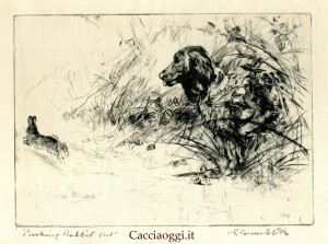 Fig 7 - "Pushing rabbit out"