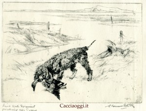 Fig 3 - "Picking up goose"