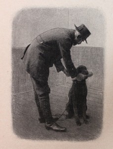 FRANZ HEDER Franz Heder è stato un celebre dresseur tedesco della fine dell'ottocento che ha operato fino alla metà degli anni trenta del secolo scorso nonché uno dei padri moderni del Kurzhaar, il bracco tedesco a pelo raso. Molti Campioni che hanno fatto la storia della razza sono passati dalle sue mani, tra cui Hektor Peterswalde, il " giovane leone" di cui si legge. Hektor fu il primo classificato nelle prove per cani da ferma tedesche del 1895 e ricevette inoltre un premio speciale d'onore per la qualità della sua cerca. Ma perché Heder scrisse questo libro? Lasciamo la risposta a lui stesso. Nella prefazione del libro si legge: Motto (così nel testo originale, n.d.t.) “L’abitudine è un vestito di ferro” DEDICATO AL PRIMO PRESIDENTE DEL KURZHAAR CLUB, SIG.DOTT.PAUL KLEEMAN "Spero, Egregio dottore, che leggendo il Suo nome all’inizio di questo libro, ne ricavi una sensazione di gradevole sorpresa; al pari di quella suscitata dal vedere finalmente realizzata l’opera che da tanto tempo fervidamente caldeggiava. Erano parecchi anni infatti, che , incontrandoci sui campi di gara, mi rivolgeva ad ogni occasione, ed in maniera piacevole, l’invito a scrivere e pubblicare delle note su “come addestro i miei campioni”. Tale attestazione di stima da Lei conferitami, ha contribuito in maniera fondamentale alla risoluzione di accingermi finalmente allo svolgimento di questo compito. L’intensità del Suo interesse per il cane da lavoro, è stata uno sprone decisivo . Di questo La ringrazio, e mi sento obbligato a dedicarLe questa piccola opera, che non vuole essere un trattato completo bensì una guida pratica basata esclusivamente sulle esperienze di campo, la cui osservanza potrebbe utilmente servire tanto al cacciatore che voglia addestrare un buon cane, quanto al cinofilo amatore del Kurzhaar da lavoro. E, se la lettura di queste note consentirà ad entrambi una più corretta visione dell’attività della Caccia , mi sentirò onorato e ne sarò felice." L’autore