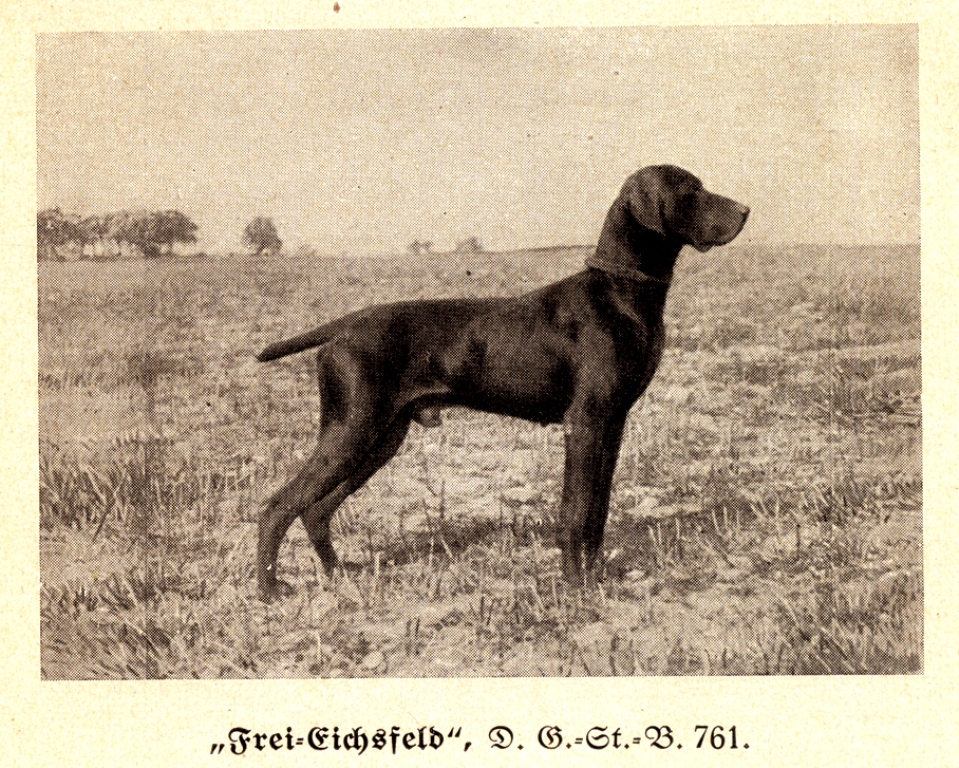 Hektor120