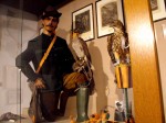 FALKENSTEIN -falconeria2