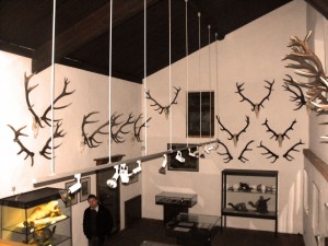 FALKENSTEIN - veduta di una sala2