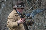 Falconeria 075