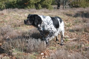 3ruisseau-des-blaquierescom