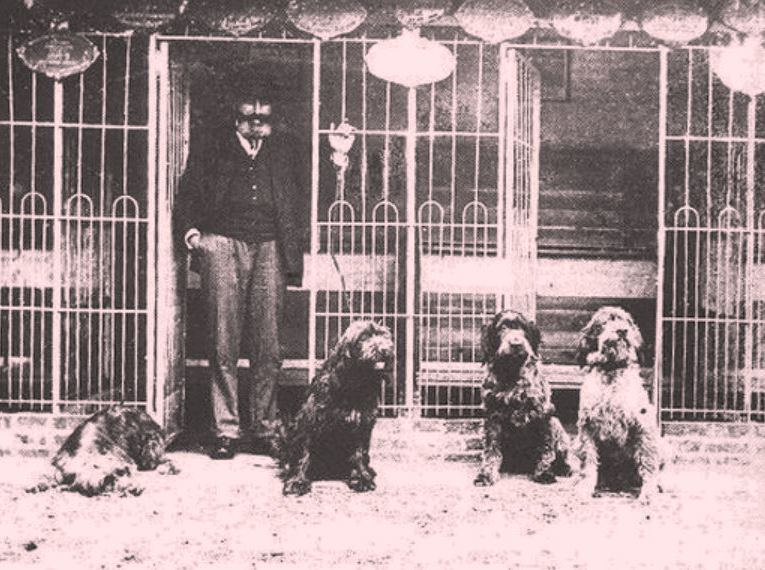 Emmanuel Boulet - uno dei primi selezionatori dei cani di Korthals 1870