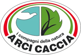 Logo Arcicaccia