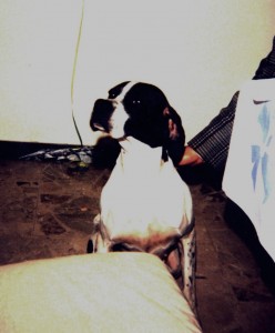 DENNY