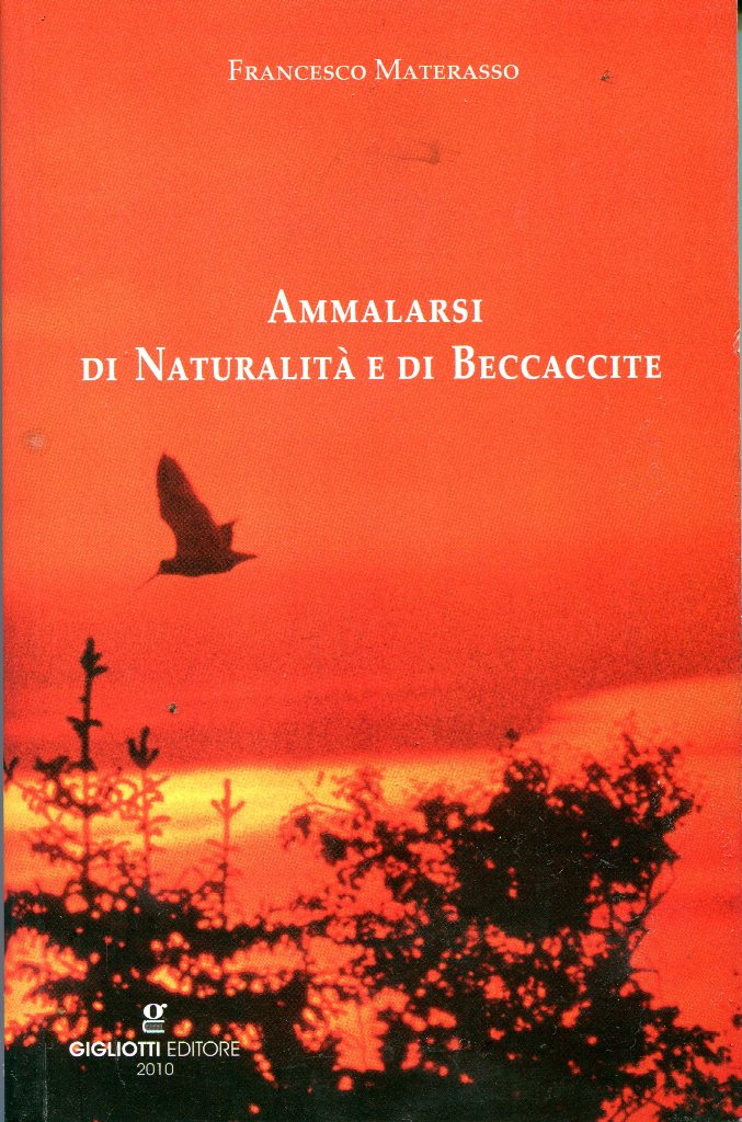 Materasso012