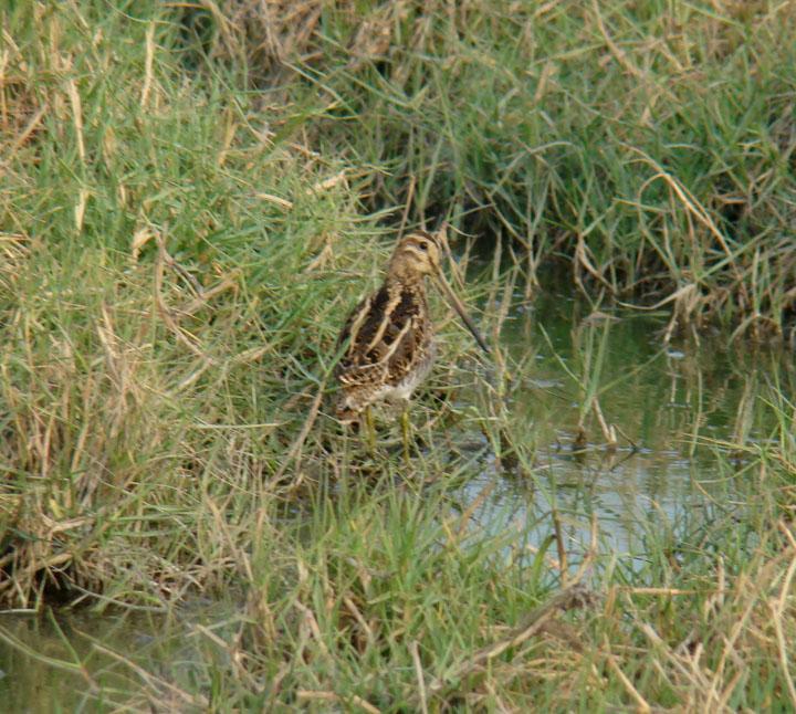foto Shantilal Varu