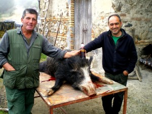 Cinghiale 3