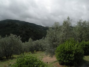 foto ok 4