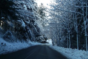 La strada del Passo della Consuma che separa Firenze dal Casentino