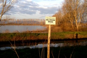 DSCF8476