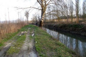 DSCF8480