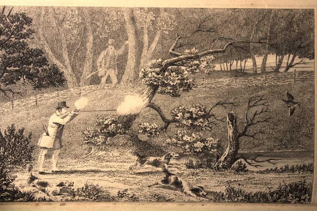 caccia con i setter: stampa da incisione pubblicata in anteporta nel “Treatise of Field Diversions” del reverendo Symonds, nel 1776. Notare la grande similitudine morfologica con gli spaniel