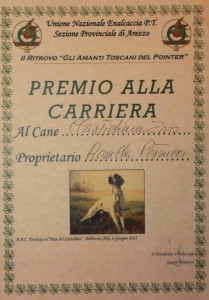 premio alla carriera zaro