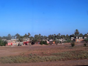 I palmeti di Marrakech 2