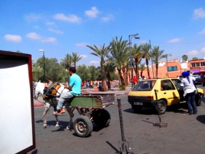 Marrakech, gente