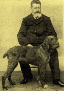 Il PUDELPOINTER........................... Il Pudelpointer è attualmente una razza E' una razza pressoché sconosciuta al di fuori della Germania, ed anche lì non è che sia granchè diffusa. Il cane si originò alla metà dell'ottocento, quando alcuni cinofili particolarmente esperti e capaci decisero di incrociare i pointers britannici con dei barbets, un'antica razza da acqua francese, allo scopo di ottenere soggetti che unissero la nevrilità e l'olfatto degli uni, con le attitudini all'apprendimento ed agli ambienti di margine degli altri. Il colore è bruno uniforme; il mantello è ispido e lanoso; la taglia è compresa fra i 60 e i 65 cm e la testa presenta un salto naso-frontale abbastanza deciso. In linea di massima, il risultato che i suoi “padri” si proponevano di ottenere è stato conseguito, avendo un cane che aggiunge alle capacità venatorie del pointer, ereditate al sessanta-settanta per cento della potenza, una grande disposizione al riporto dall'acqua. La selezione successiva a quella primaria, ha poi visto la fissazione del carattere dell'abbaio su selvaggina ferita, tema questo da sempre molto caro ai tedeschi.