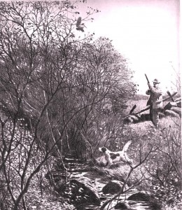B0010