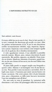 Beccaccia015