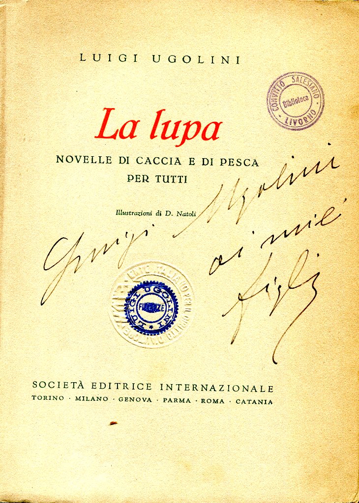Ugolini003