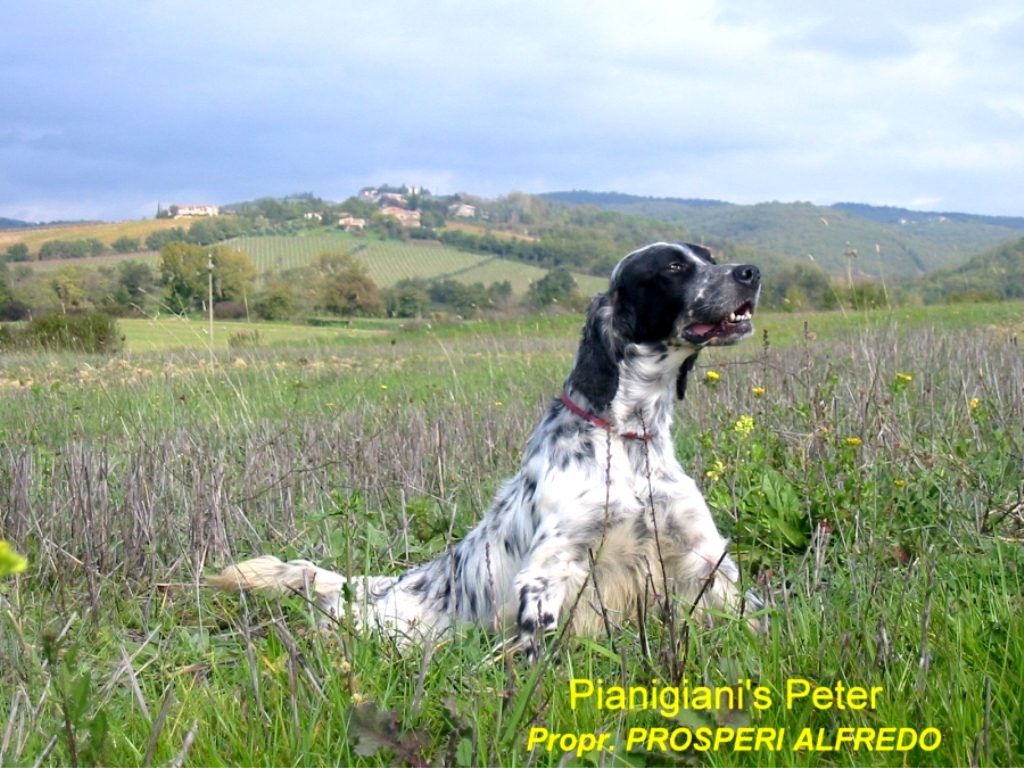 Peter
