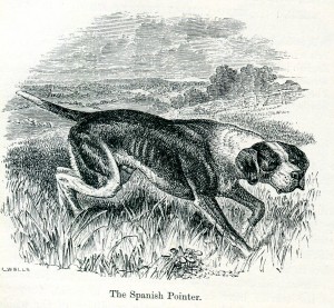da "The Dog" di Stonehenge