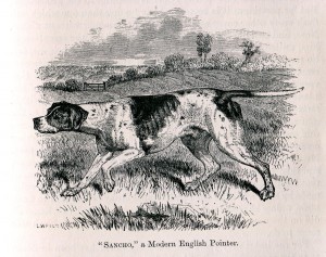 "The Dog", Stonehenge